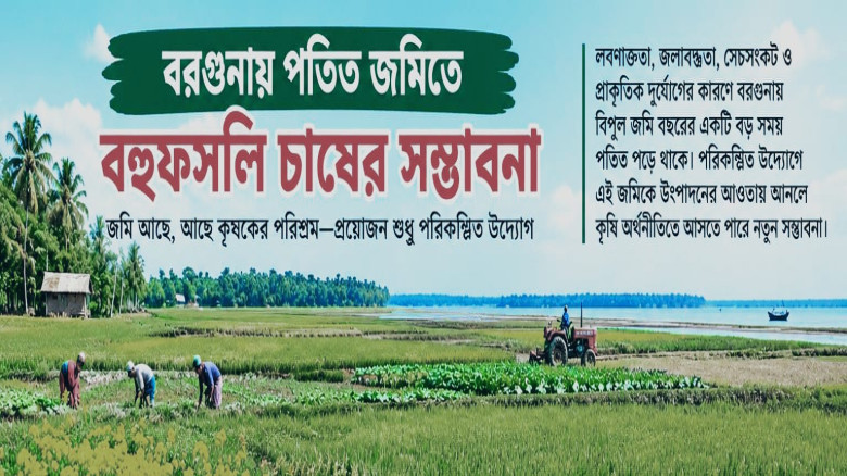 বরগুনায় ৩৪ হাজার ৪০০ হেক্টর পতিত জমিতে বহুফসলি চাষের অপার সম