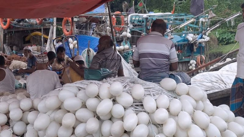 নিষেধাজ্ঞা শেষে বরগুনার সাগরে ইলিশ ধরার পূর্ণ প্রস্তুতি সম্প