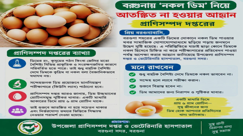 বরগুনায় ‘নকল ডিম’ নিয়ে আতঙ্কিত না হওয়ার আহ্বান প্রাণিসম্প