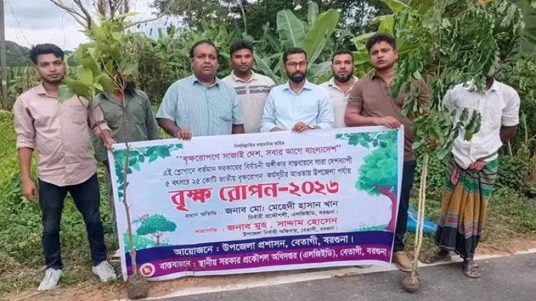 বেতাগীতে রাজস্ব বাজেটের অর্থায়নে বৃক্ষরোপণ কর্মসূচি অনুষ্ঠি