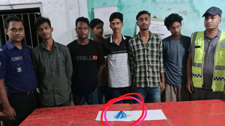 শুরু হয়েছে শীতের মৌসুম, শীতের ফুলে রঙিন প্রকৃতি